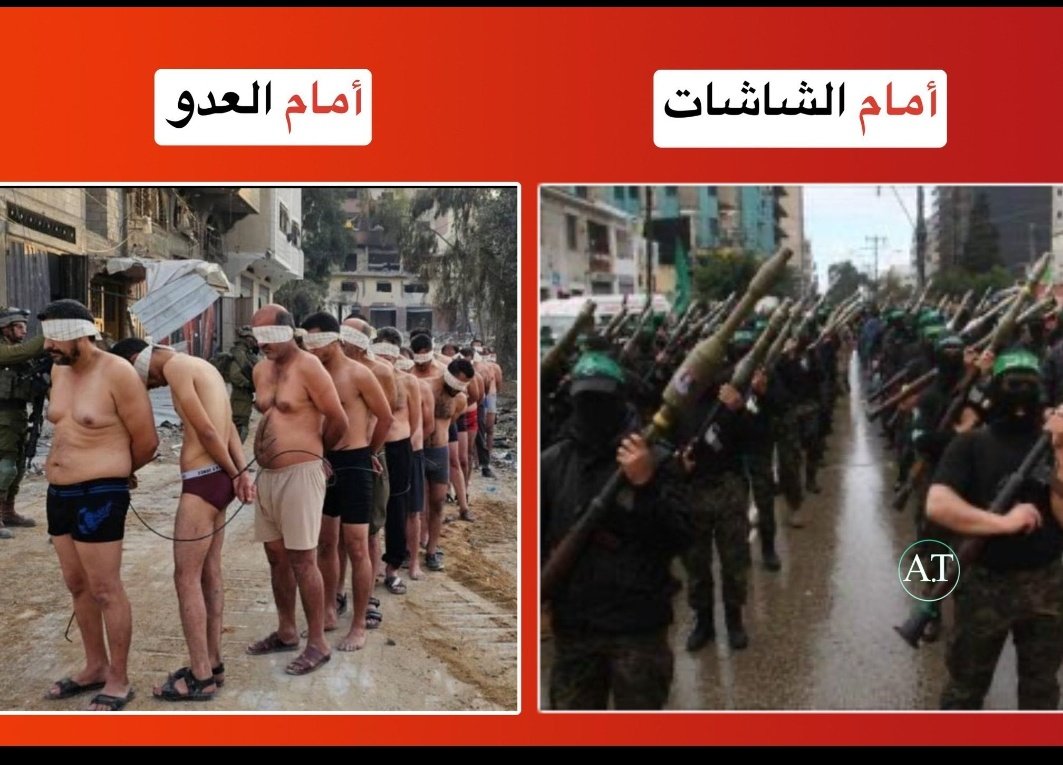 مــڵــڪــۃ 𝐐𝐮𝐞𝐞𝐧 👑 tweet media