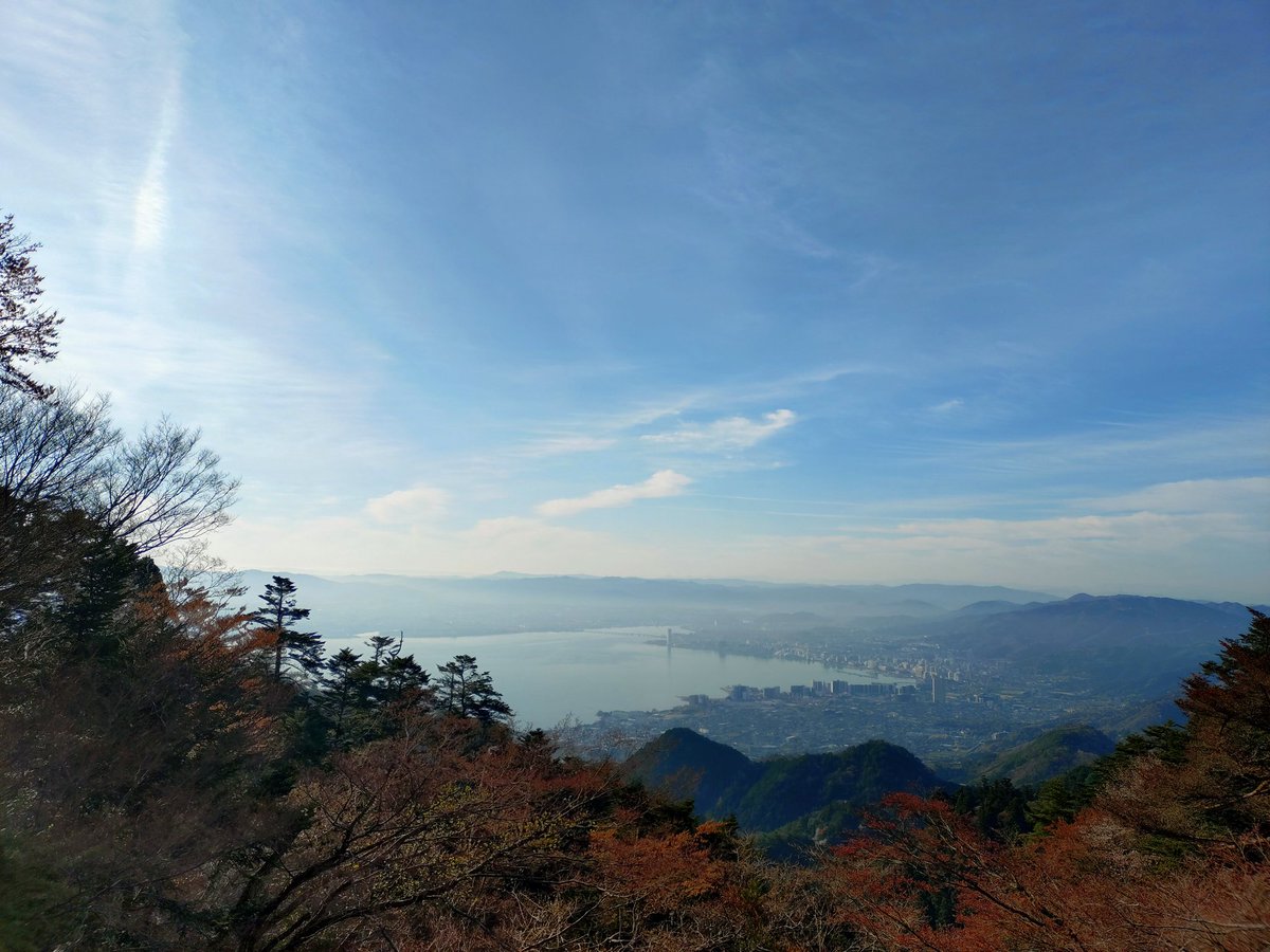 坂本ケーブル【公式】 tweet media