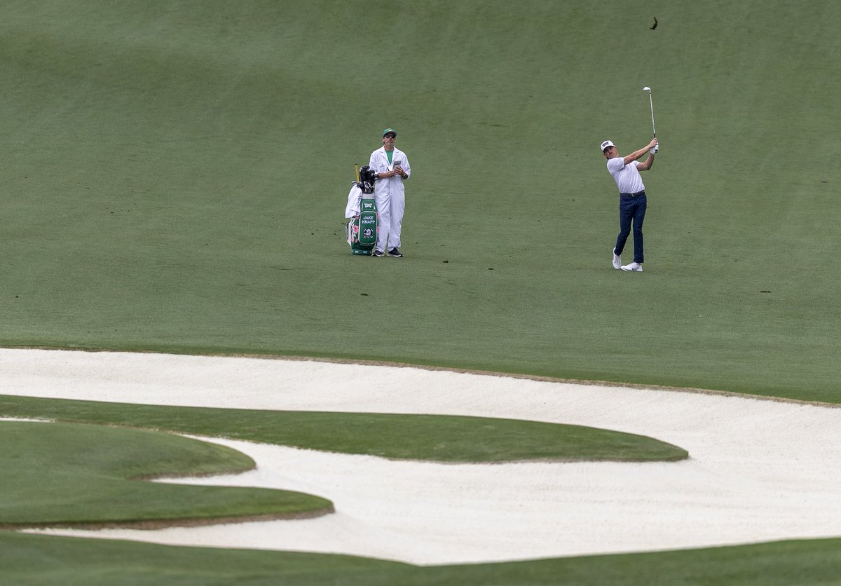 Jake Knapp tweet media