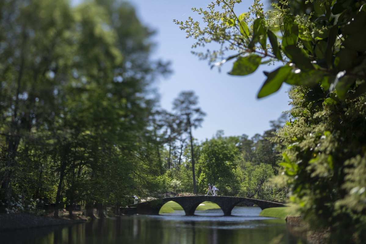 Jake Knapp tweet media