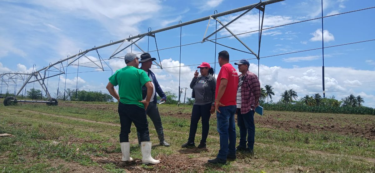 Yanetsy Terry Gutiérrez tweet media