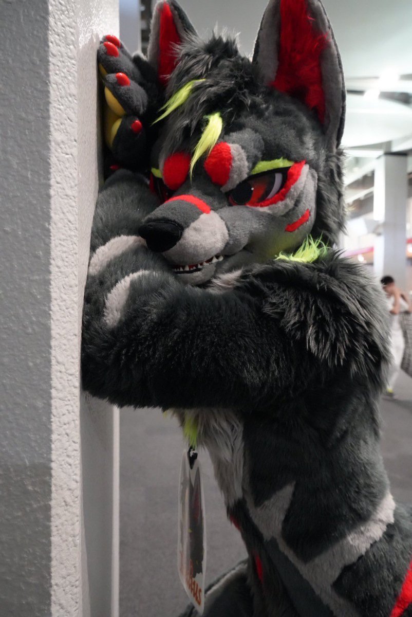 ラディウス tweet media