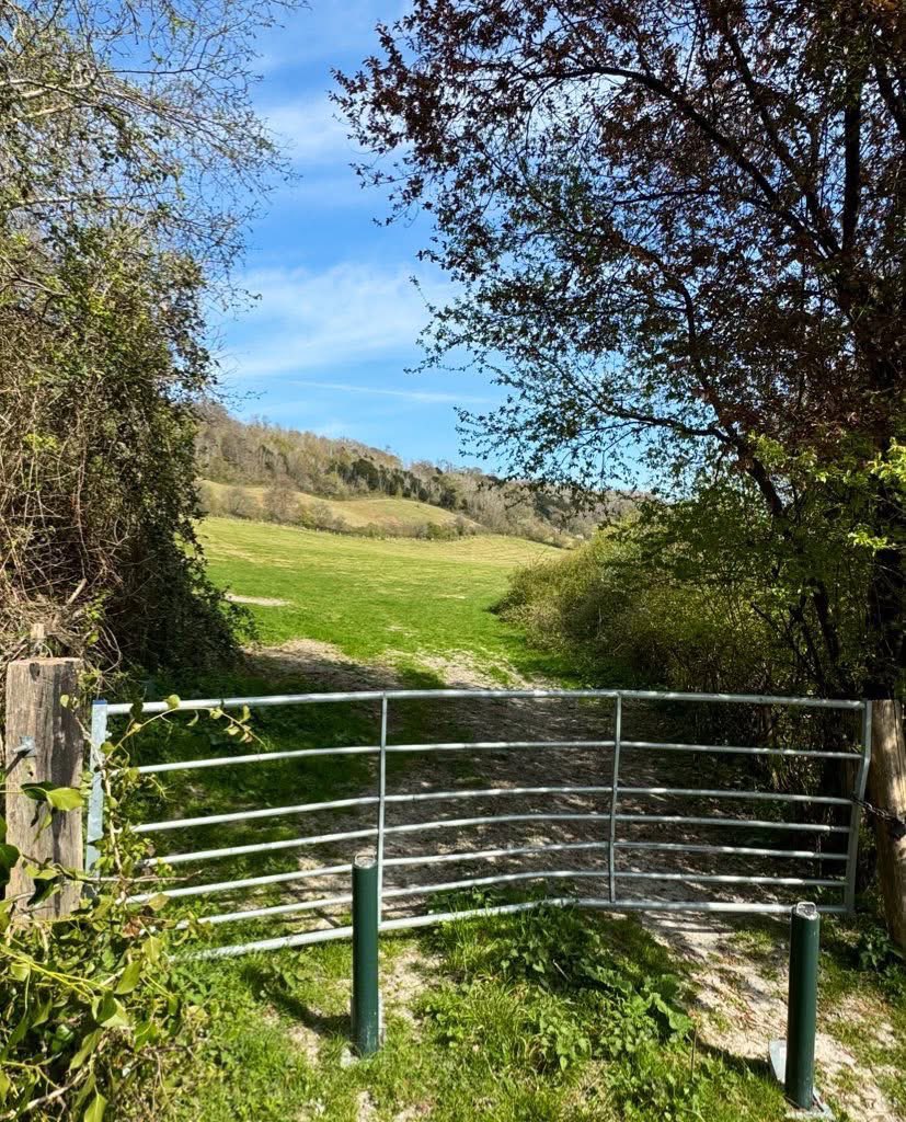 APCAFC's tweet image. #THISTIMELASTYEAR
Vigo to Knockholt Pound.
#GoingAroundtheUKCoastAgain 
SIDE PROJECT 
#NorthDownsWay
