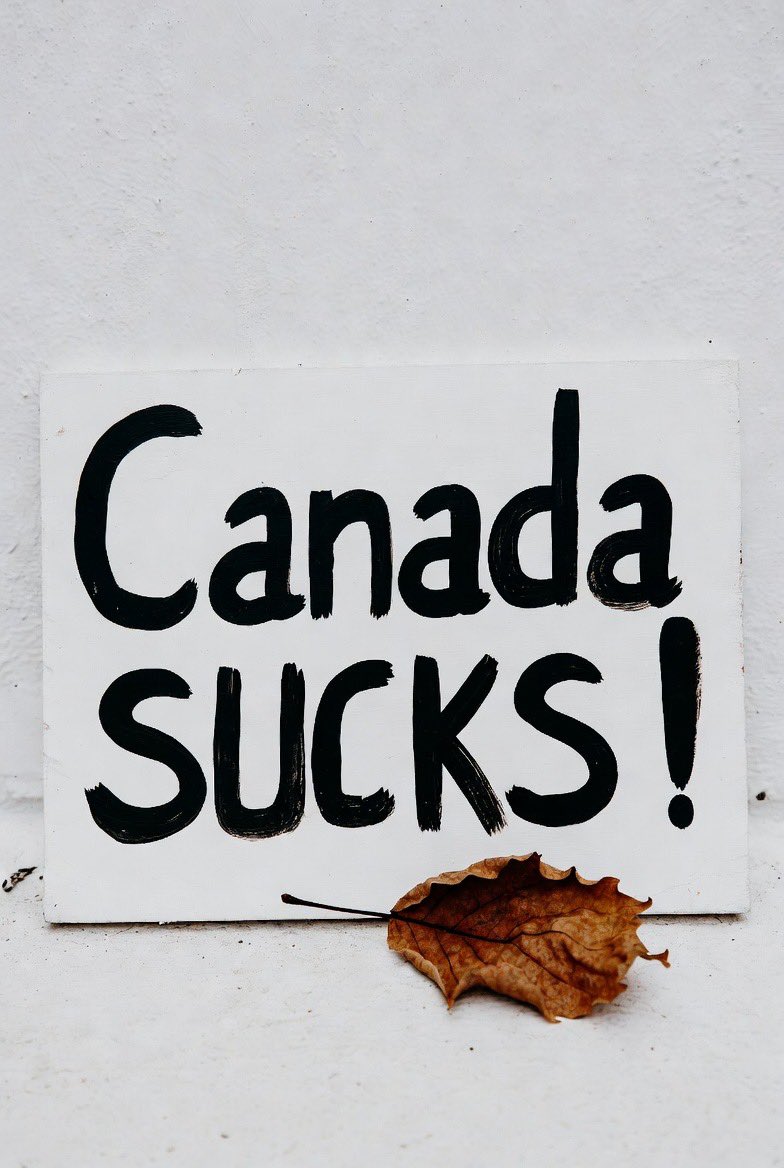 VOICE OF REASON 🇬🇷☦️🇺🇸🇨🇦 (@albrown4547) on Twitter photo 