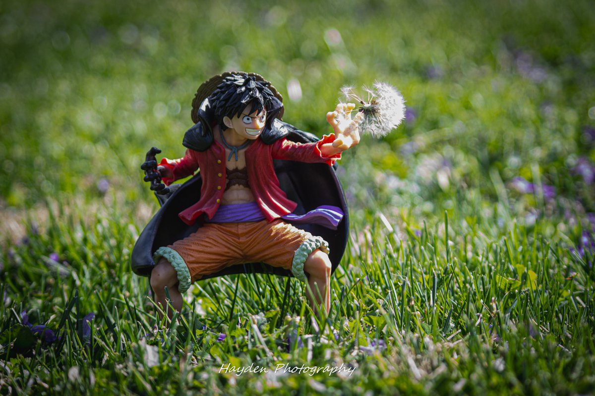 Hayden Photography tweet media