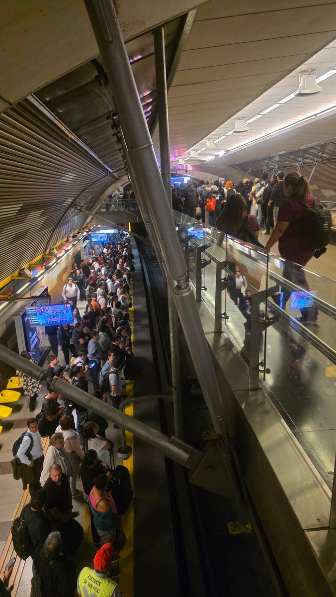 Kuro 🦉 tweet media