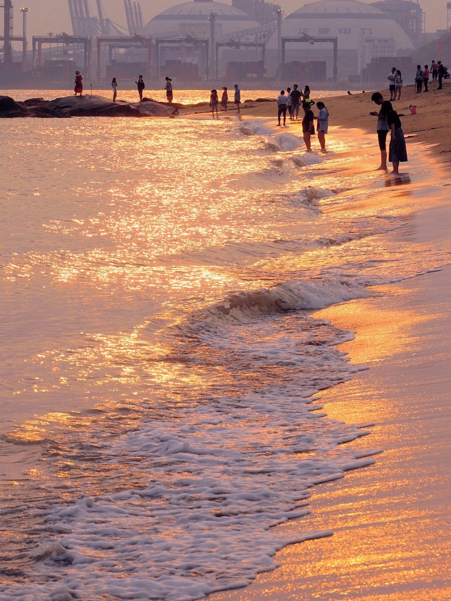 Lindsay Ellen Rowe tweet media