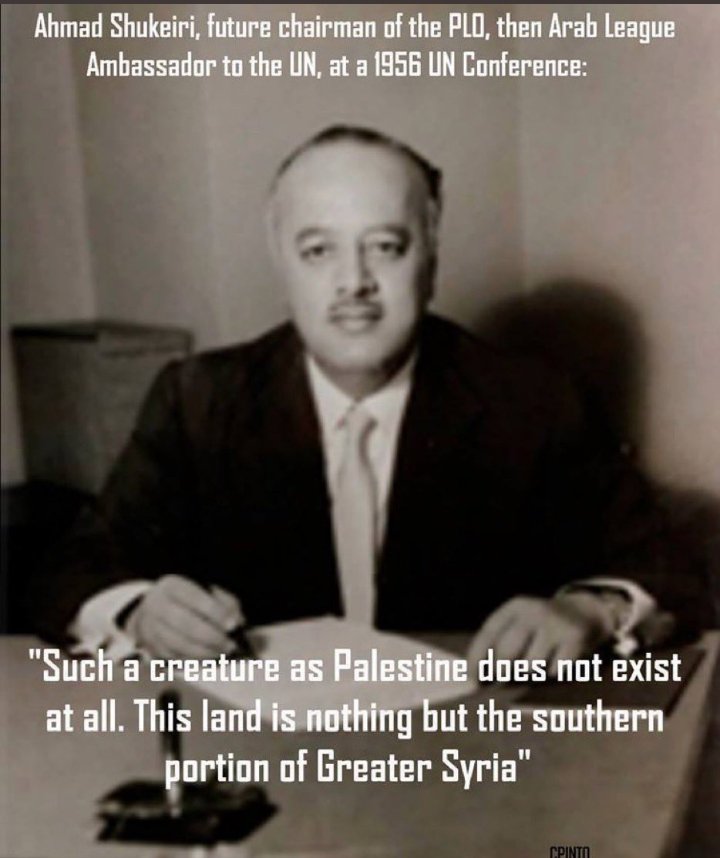 Tilly ✨ tweet media