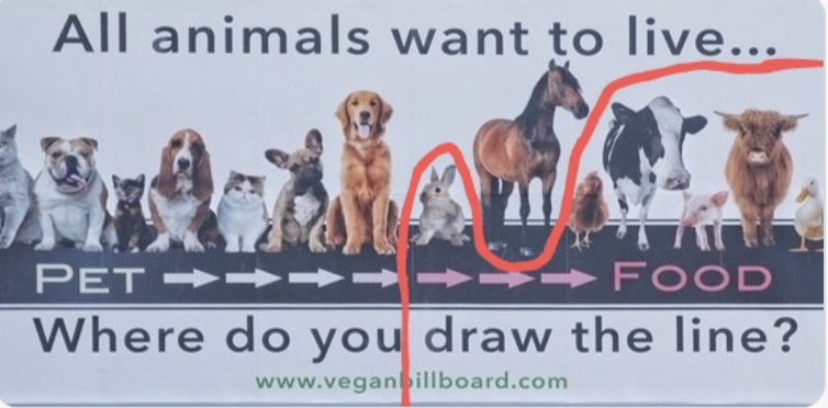 Carnivore Aurelius ©🥩 ☀️🦙 tweet media