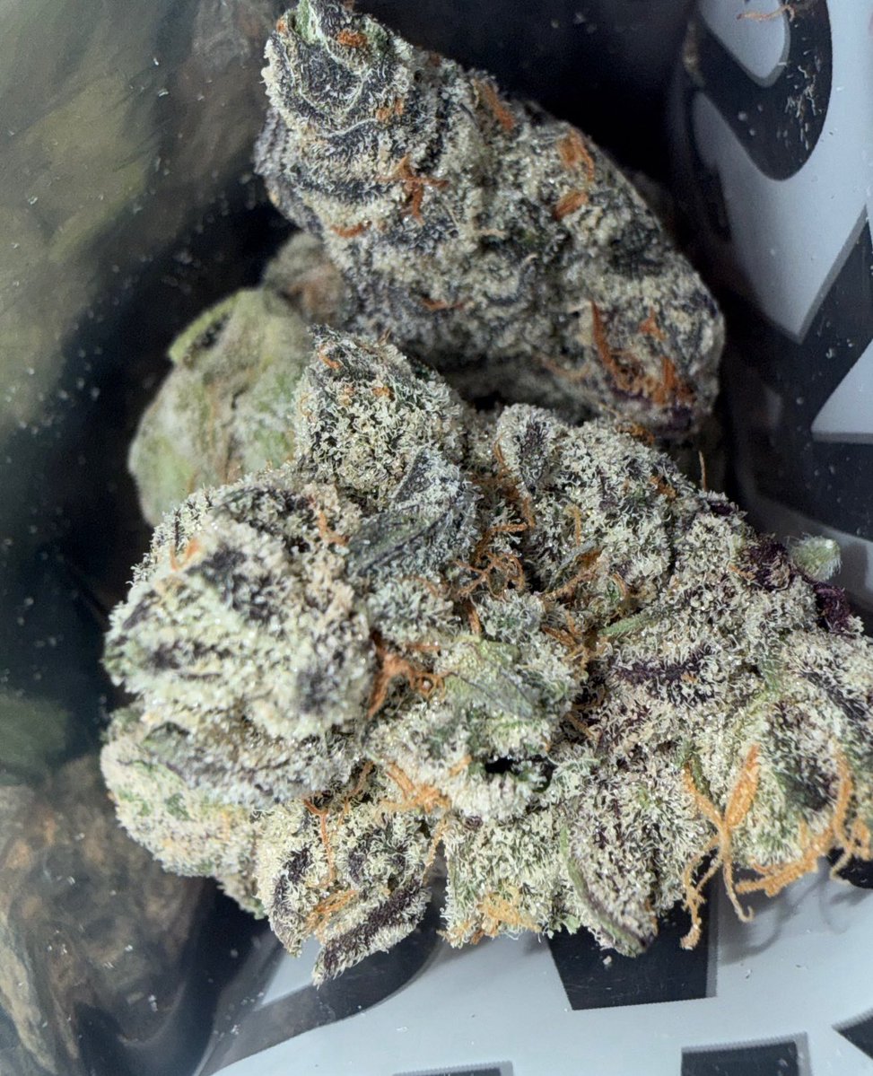 1ndicadom tweet media