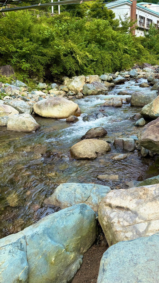 もっちー tweet media