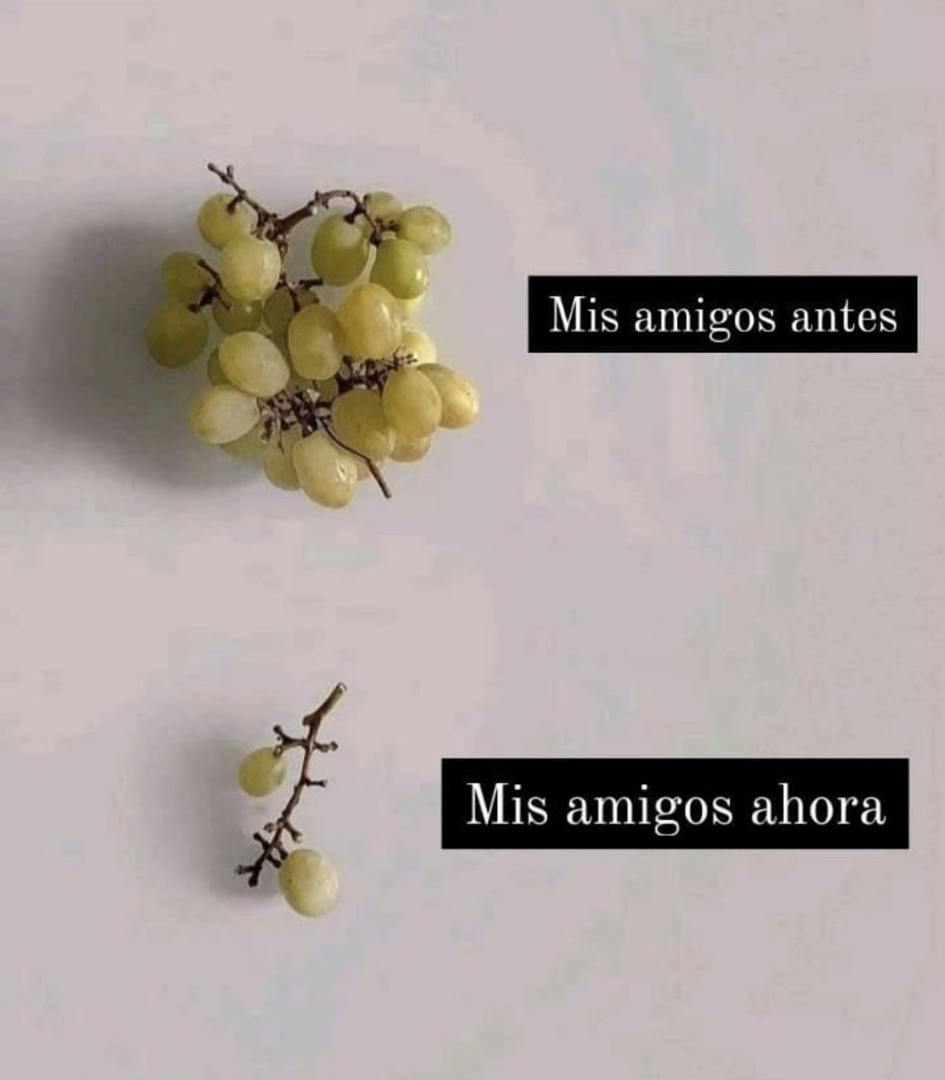 𝙻𝚊 𝚕𝚘𝚌𝚊 𝚍𝚎 𝚕𝚘𝚜 𝚐𝚊𝚝𝚘𝚜 tweet media