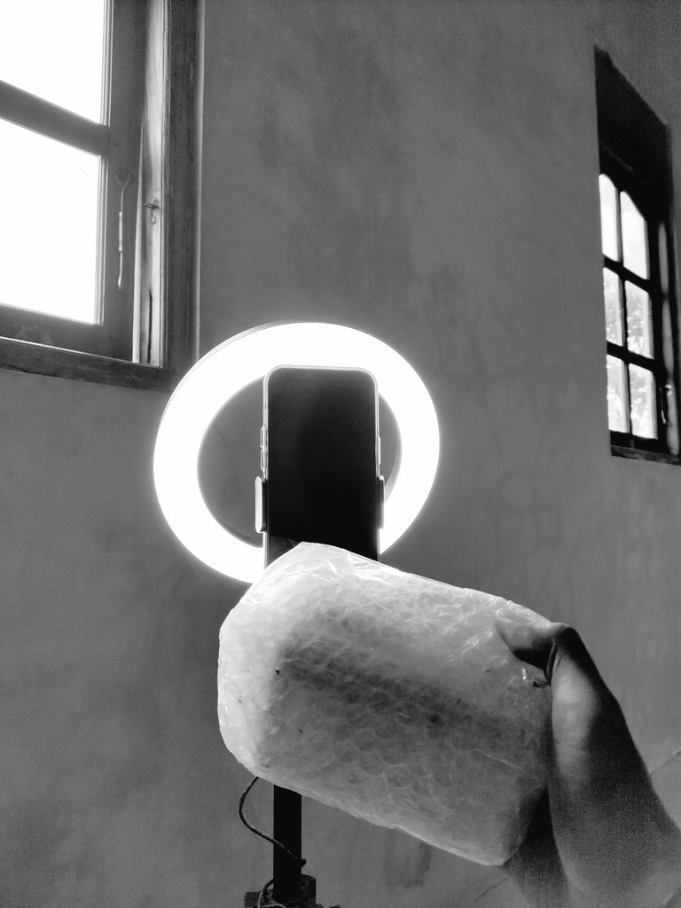 Awe 🐺 tweet media