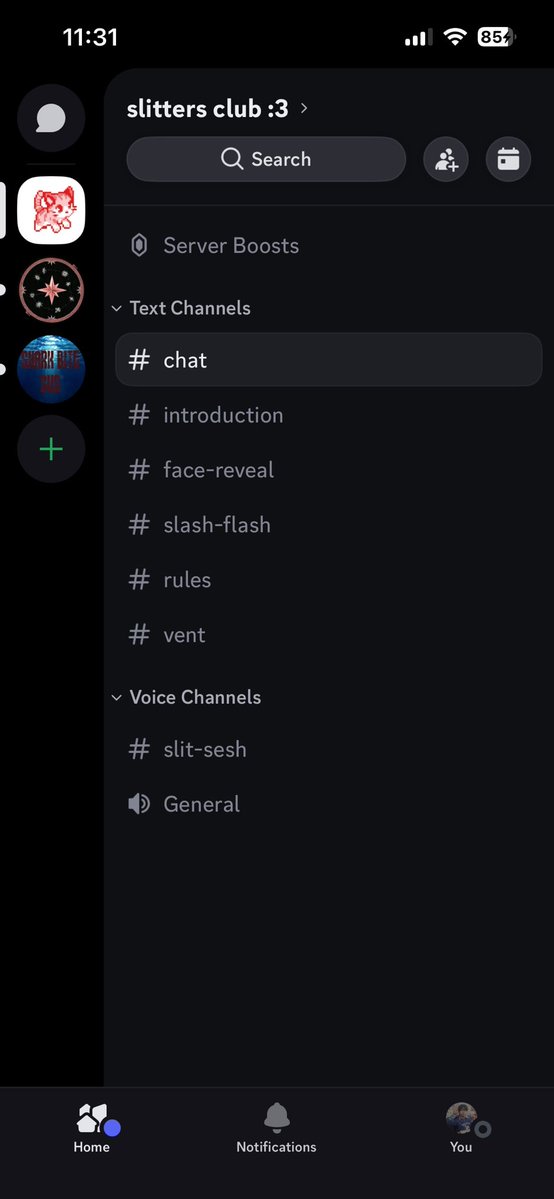 rainbowdash of shedtwt tweet media