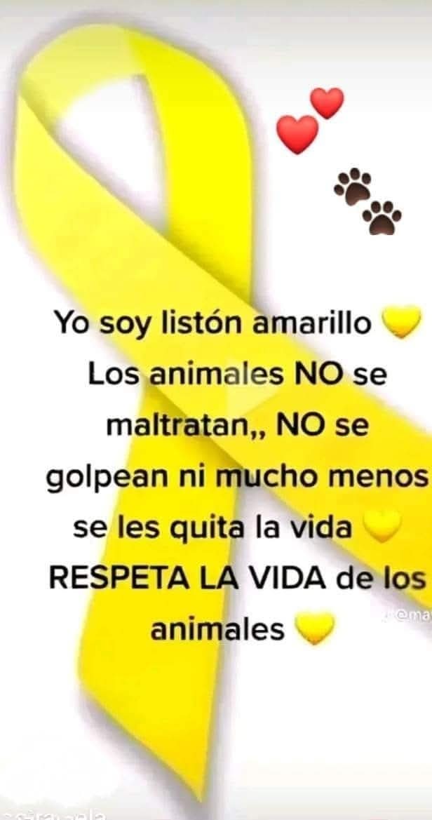 Guadalupe Ramirez tweet media