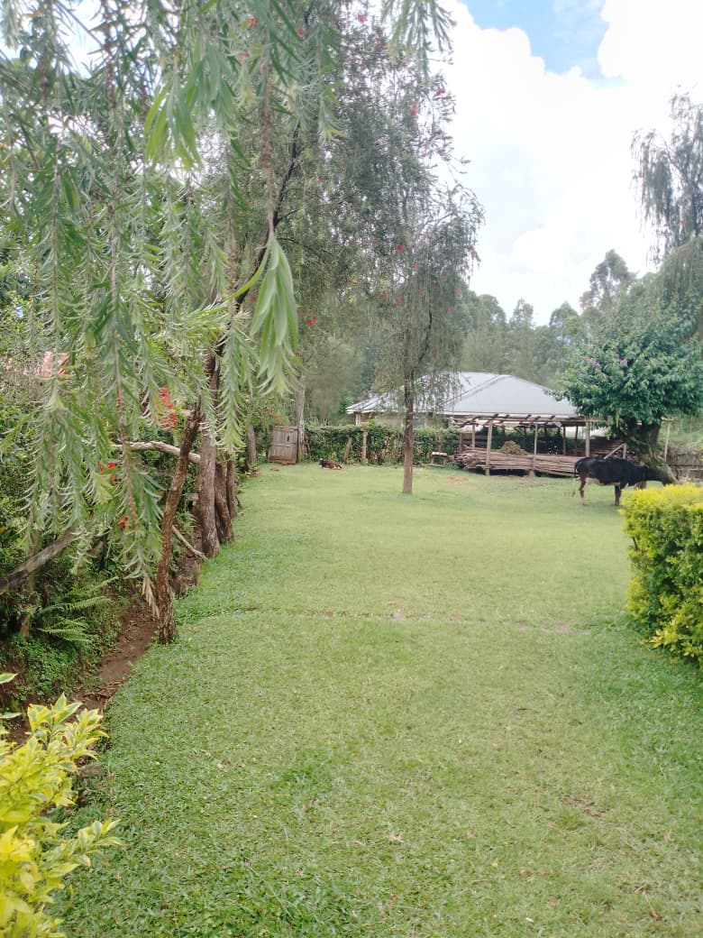 Ongeri KE tweet media