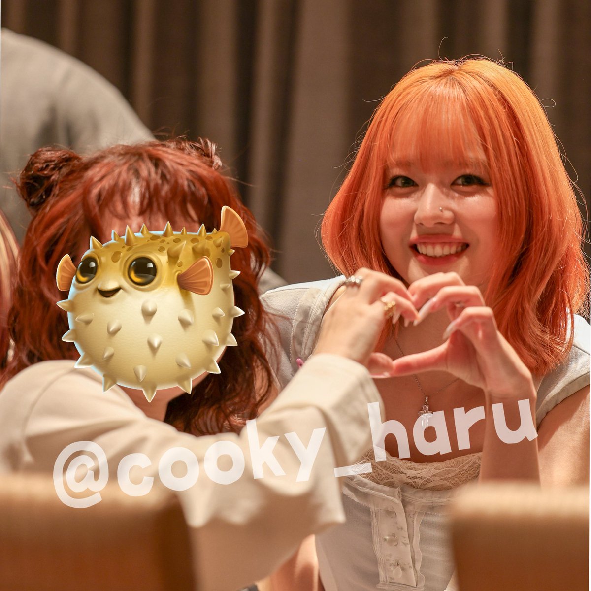 S関のはるちゃん tweet media