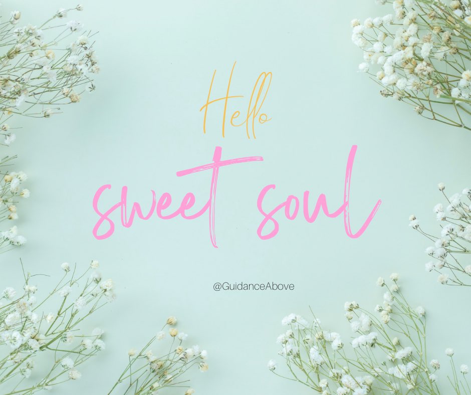 Guidance Above tweet media