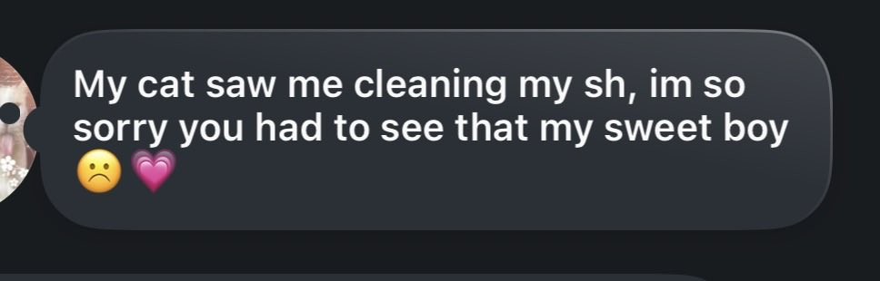 𝔰𝔬𝔭𝔥𝔦 ༉‧₊˚. tweet media