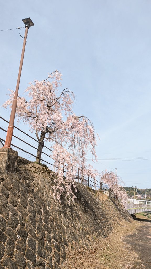 ToothbrushLive's tweet photo. Leaving Nakatsugawa is bitter sweet as I make my way over to Yokohama for some FaB. This has been such an amazing trip thus far, getting to play FaB will be the cheery on top. #fabtcg #FABYOKOHAMA https://t.co/4WOZadK9LO