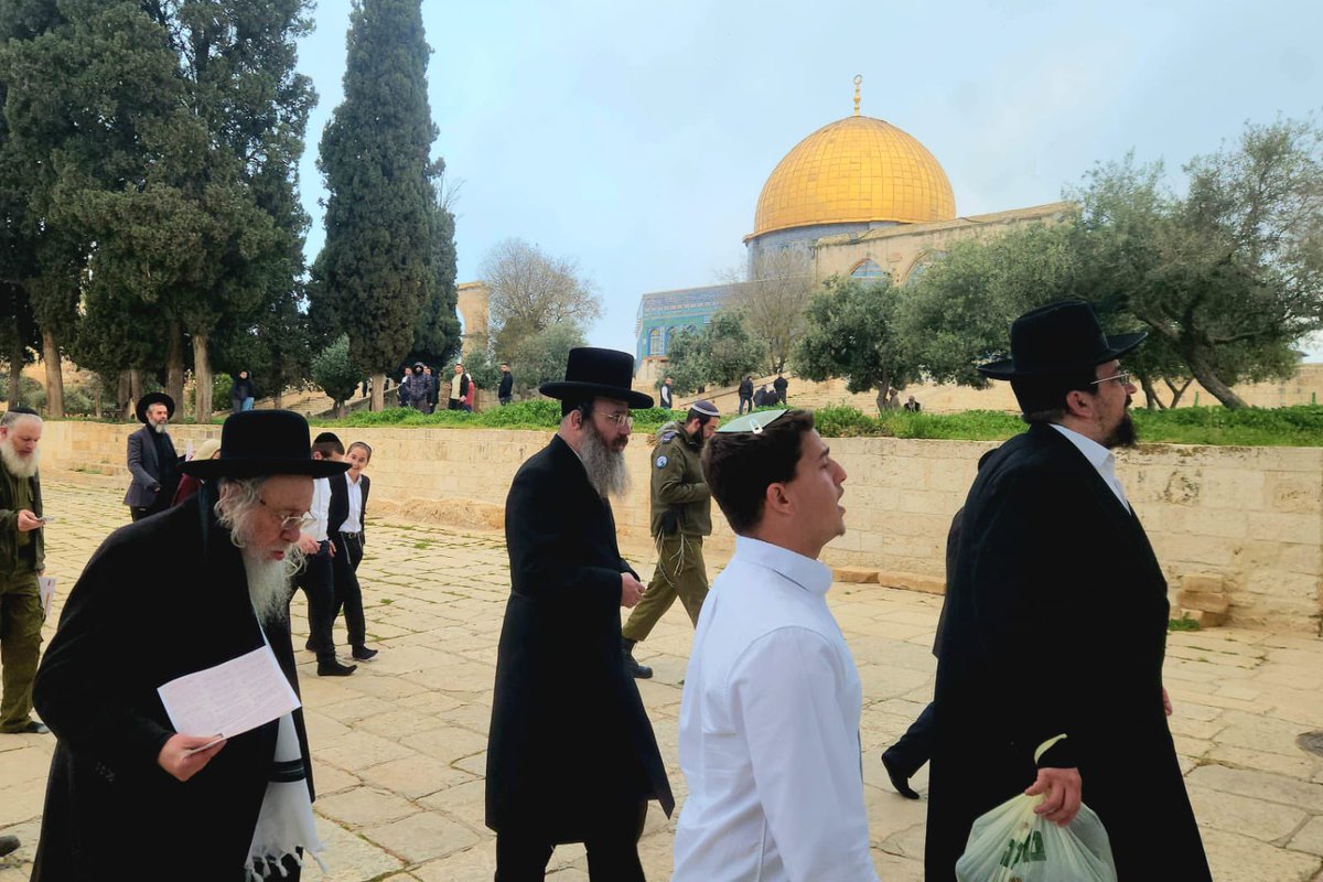 Mossad Commentary tweet media