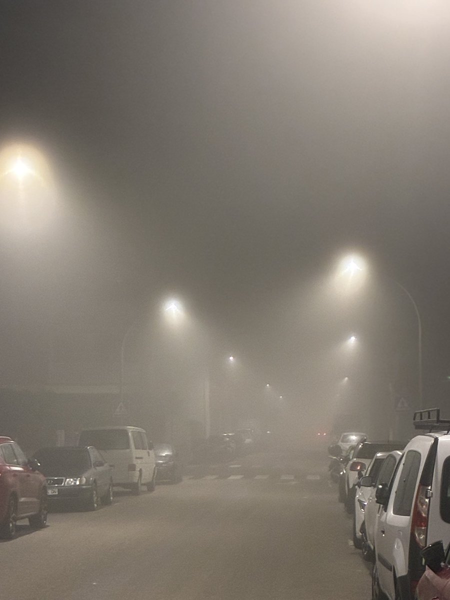 Jordi Pallés i Marimon tweet media