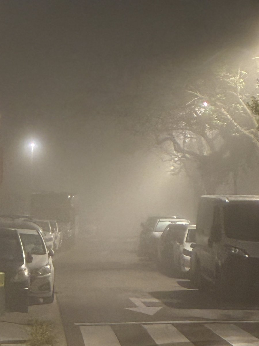 Jordi Pallés i Marimon tweet media