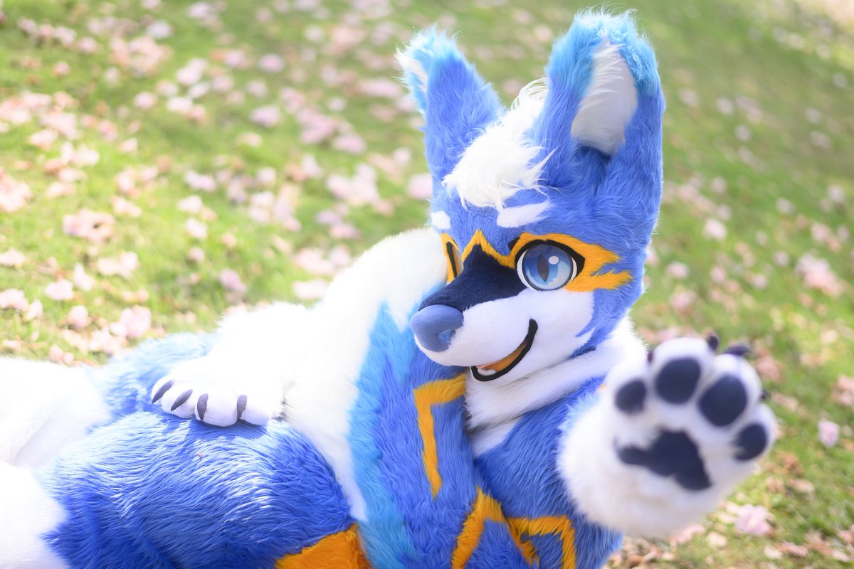 Repeach ➡ WFF tweet media