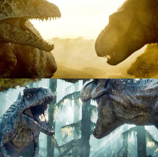 ミナト🐊🌍️🇯🇵 tweet media