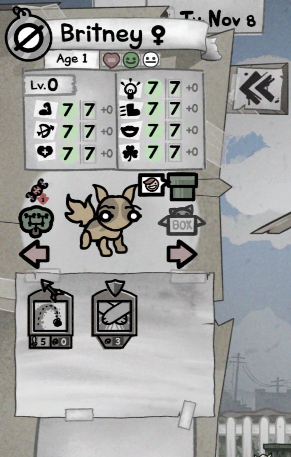 igetexcited's tweet photo. First all 7 base stat cat and it's name is BRITTANY. I screamed so loud from excitement, I scared my actual cat out the room. Too bad she's about to become my breeding Queen.

What a monumental time to get a cat named after me randomly 😂 #mewgenics https://t.co/ICP3B7ygv6