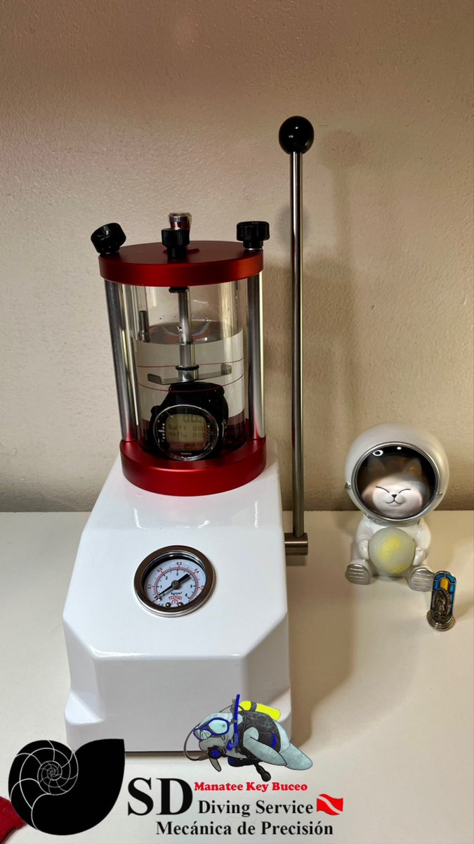 sd_diving's tweet photo. https://t.co/ZQ2UlZUXmr