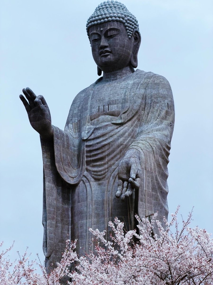 sd2438892's tweet photo. 2026春の色々 https://t.co/jUMFlFkvr8