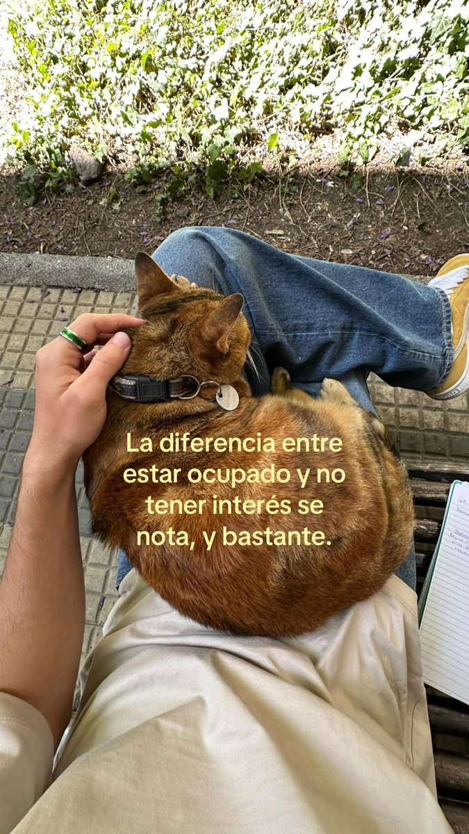 Lonely🥀 tweet media