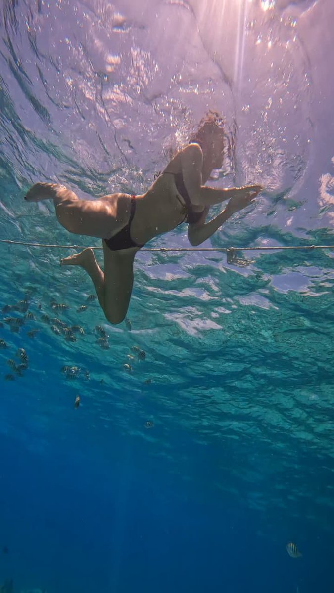 🌊✨ Momentos mágicos en Mundo Marino.
Aguas cristalinas, peces de colores y la energía increíble de mis turistas en el Full Day Marine Tour.
San Andrés se vive así: auténtico, natural y lleno de vida.

Reserva tu experiencia: +57 321 652 4457 
 ReservaSanAndres.com
