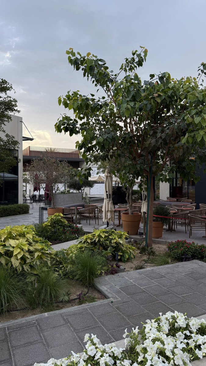 Al-Dossary ~*! tweet media