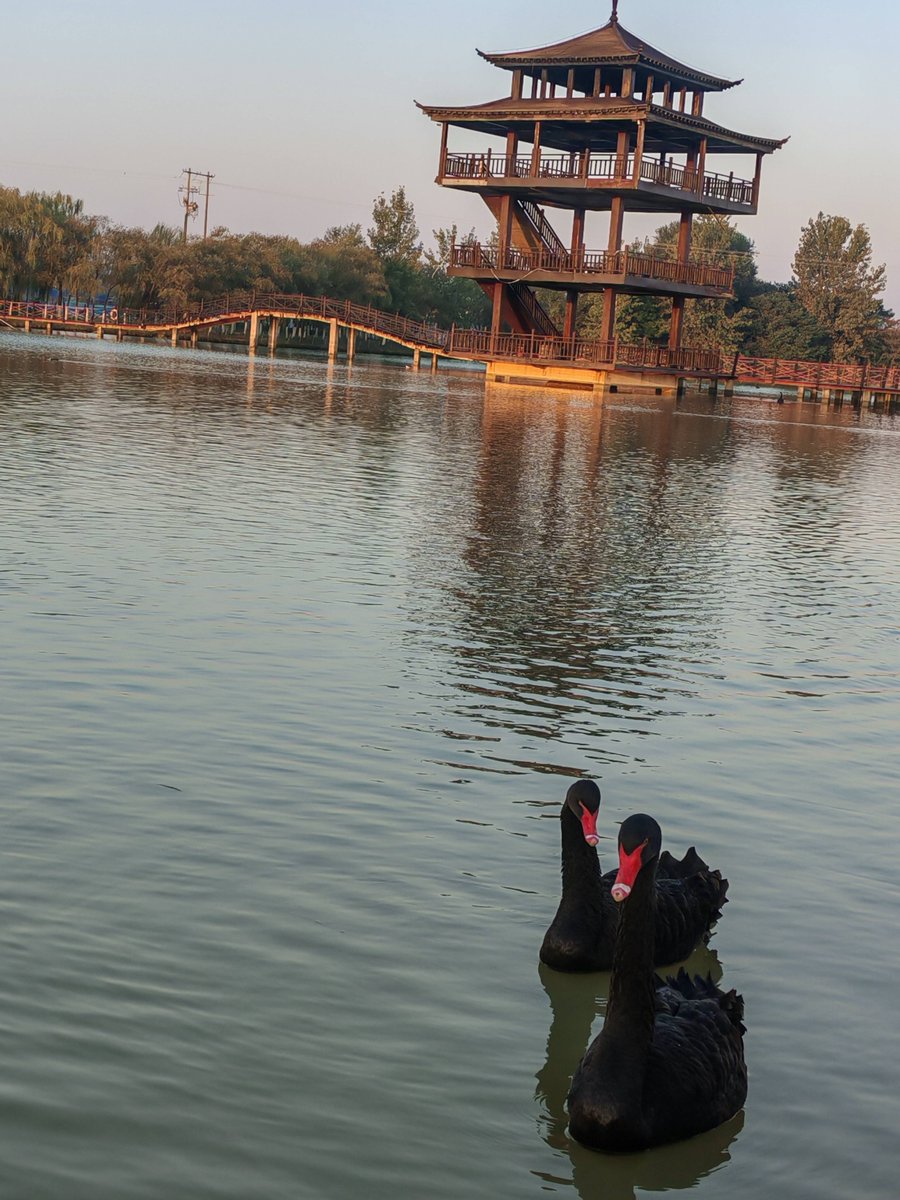 agildata tweet media