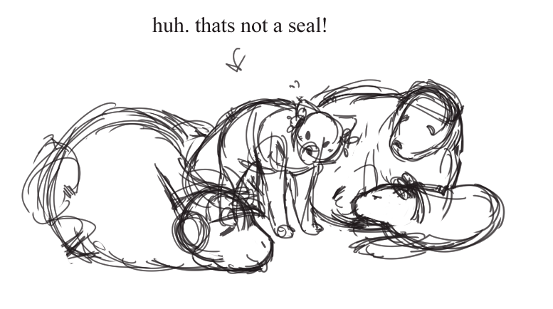 ( ✦. * ) our star has died. tweet media