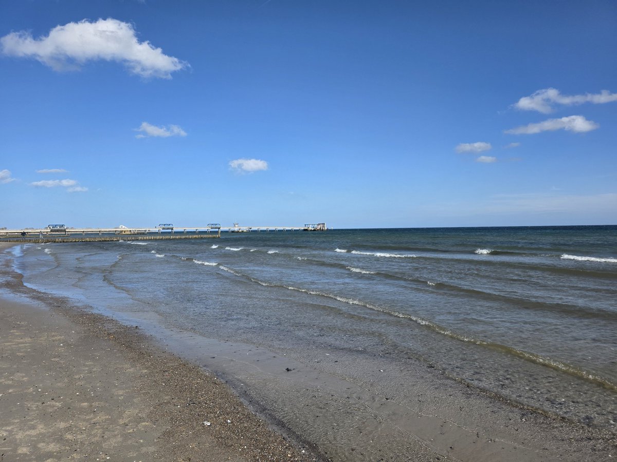 beJD4j2ZrhQLqYC's tweet photo. Wir dackeln am Strand.  Mit Fischbrötchen und Capri Sonne.  Kellenhusen, Ostsee. https://t.co/jGaqKTquf9