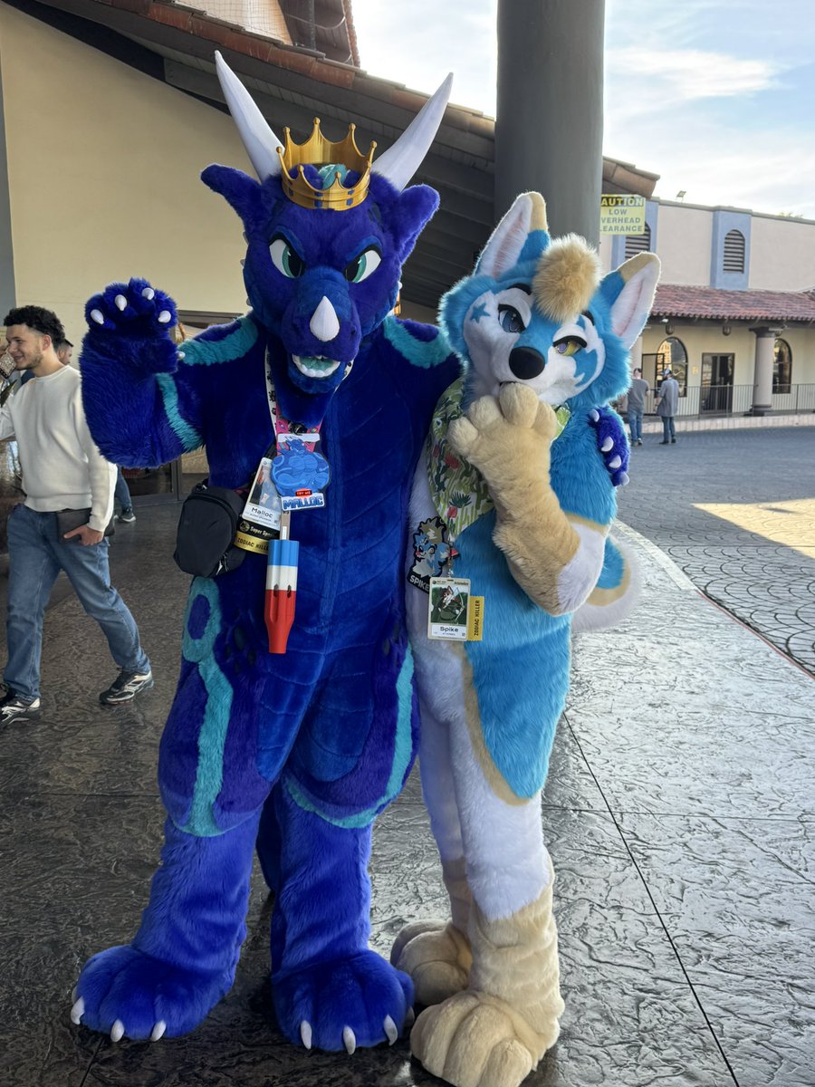 SplatFennec's tweet photo. I took 1 picture at LVFC https://t.co/LxC9fF3L4T