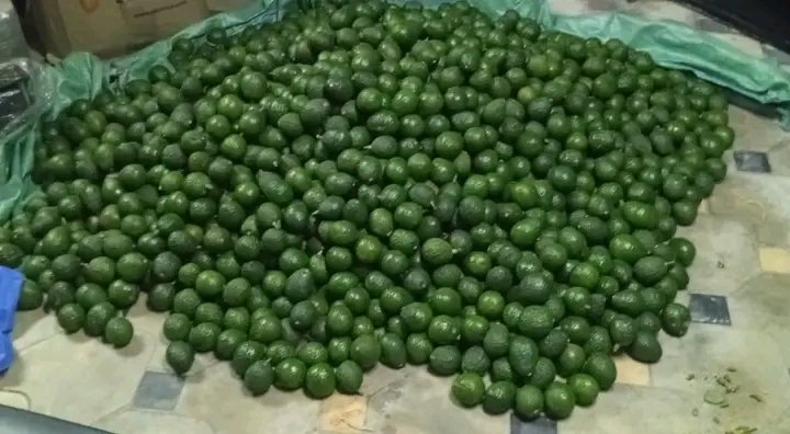 Ja Kamagambo🇰🇪 tweet media