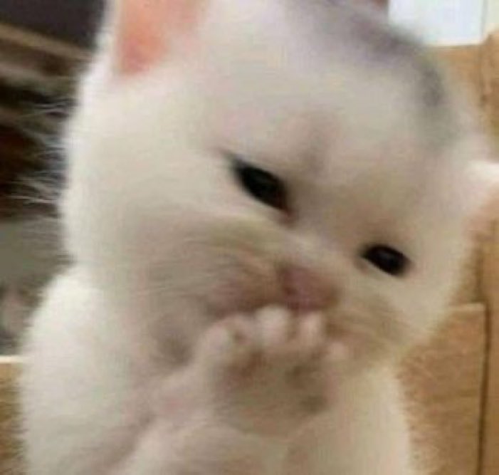 Bloomery Patisserie tweet media