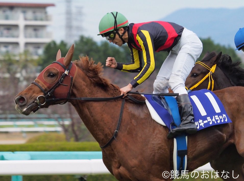 名馬の肖像】ラッキーライラック 父 オルフェーヴル 母 ライラックス