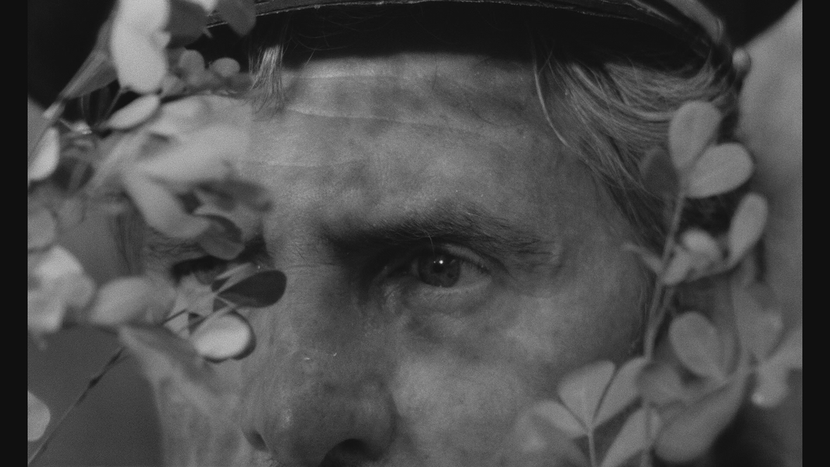 Torrent Film Fest tweet media