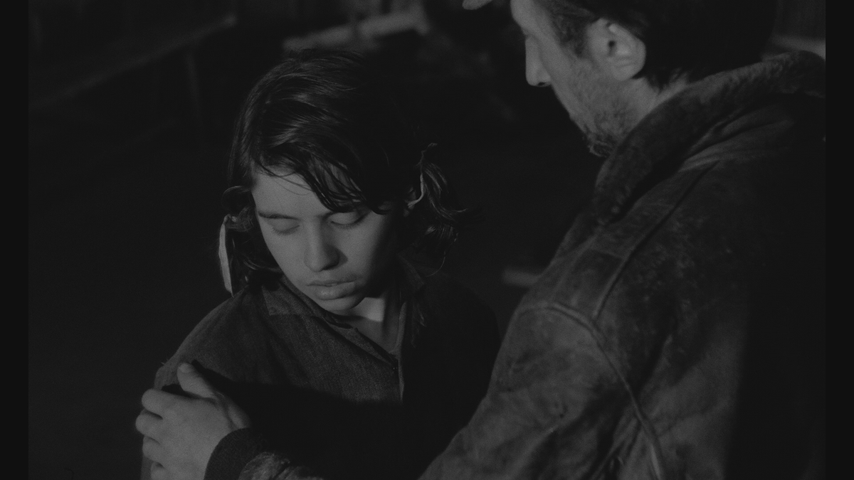 Torrent Film Fest tweet media