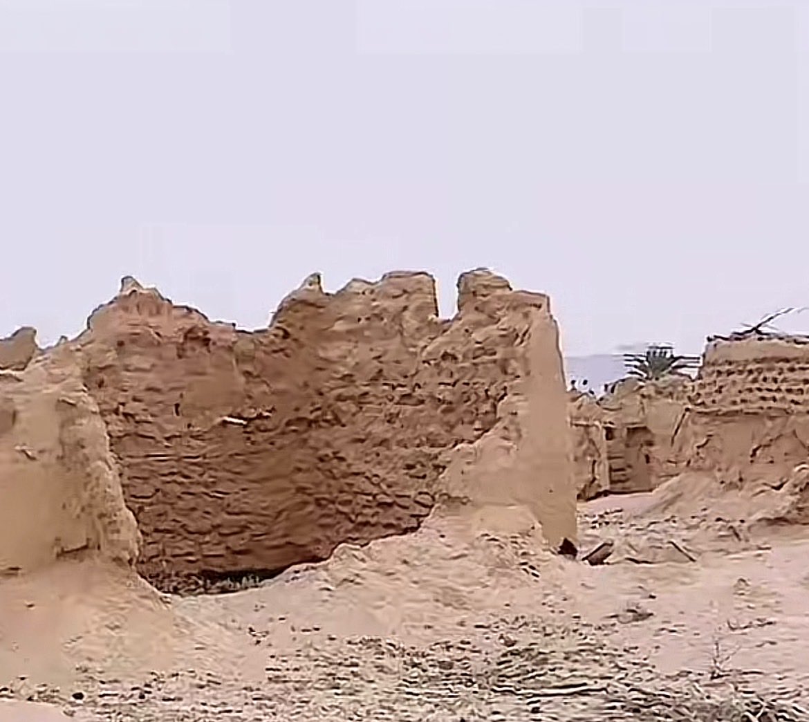 راشد tweet media