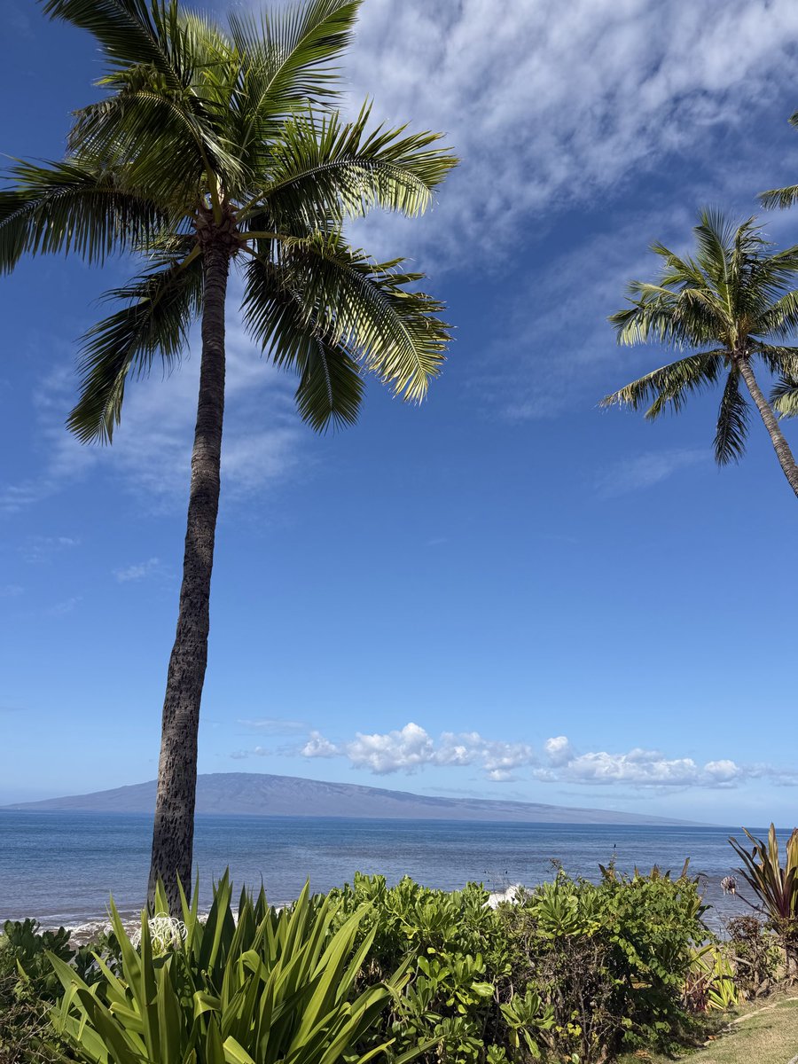 Jatt Mones tweet media