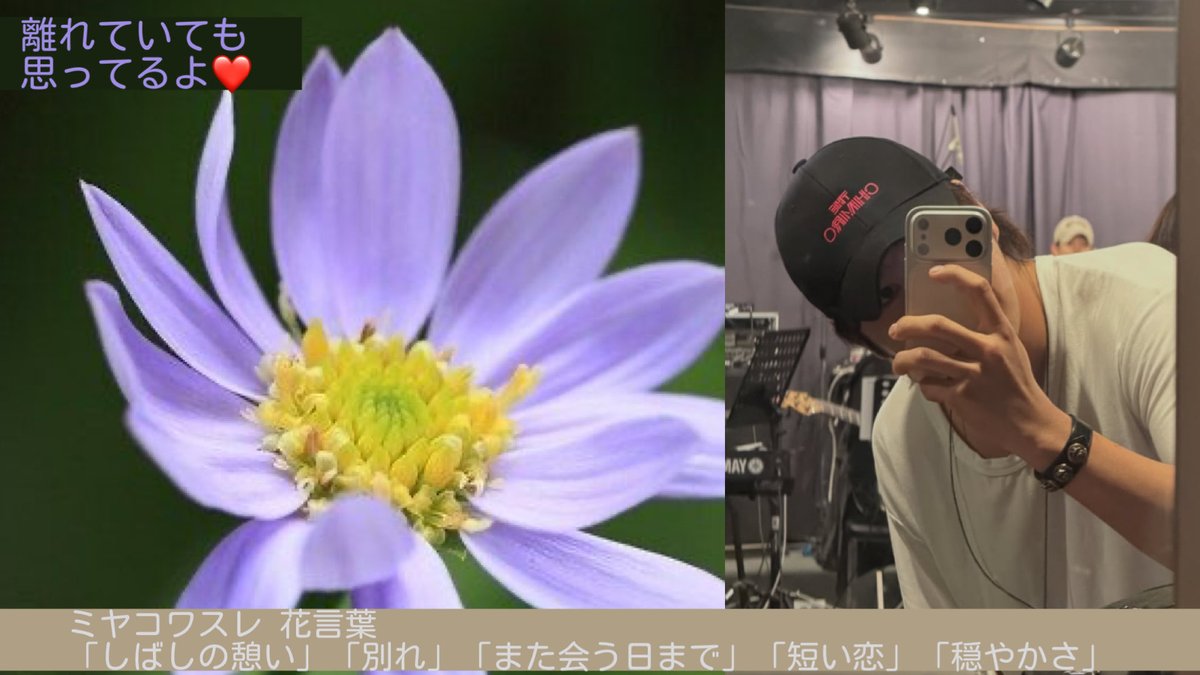 mi_jkseefry's tweet photo. 【美韓】チャン・グンソクに投票完了!現在の得票数:4175票
チャン・グンソク「離れていても思ってるよ❤️」
人気投票はこちらから↓
https://t.co/FbP3aOn8Jq #チャン・グンソク #JangKeunSuk #장근석 #チャン・グンソクからのメッセージ
#THE_CHIMIRO♡♡
근짱の気持ちが伝わる♡♡ https://t.co/1PLwj2JijS