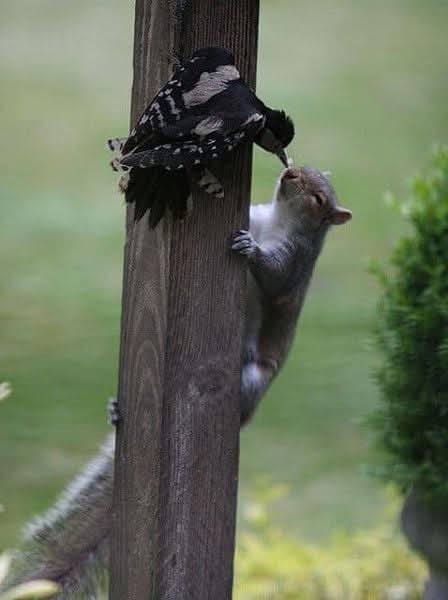 Elke 🇮🇱 🇩🇪 tweet media