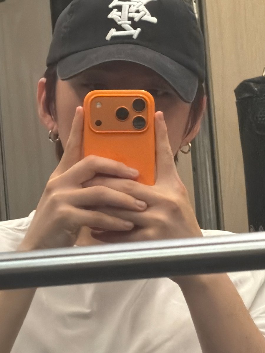 🐹🦈📁 tweet media