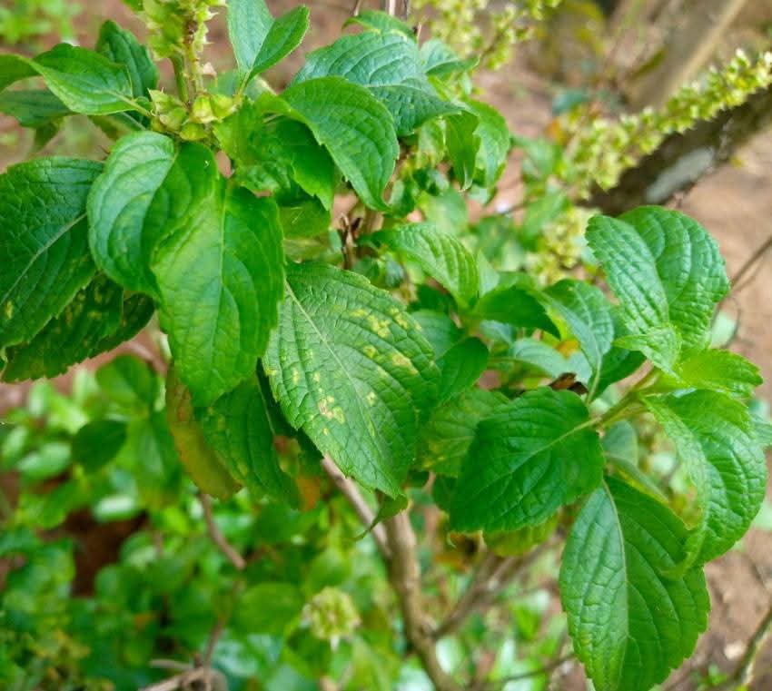 ClipStreamHQ tweet media